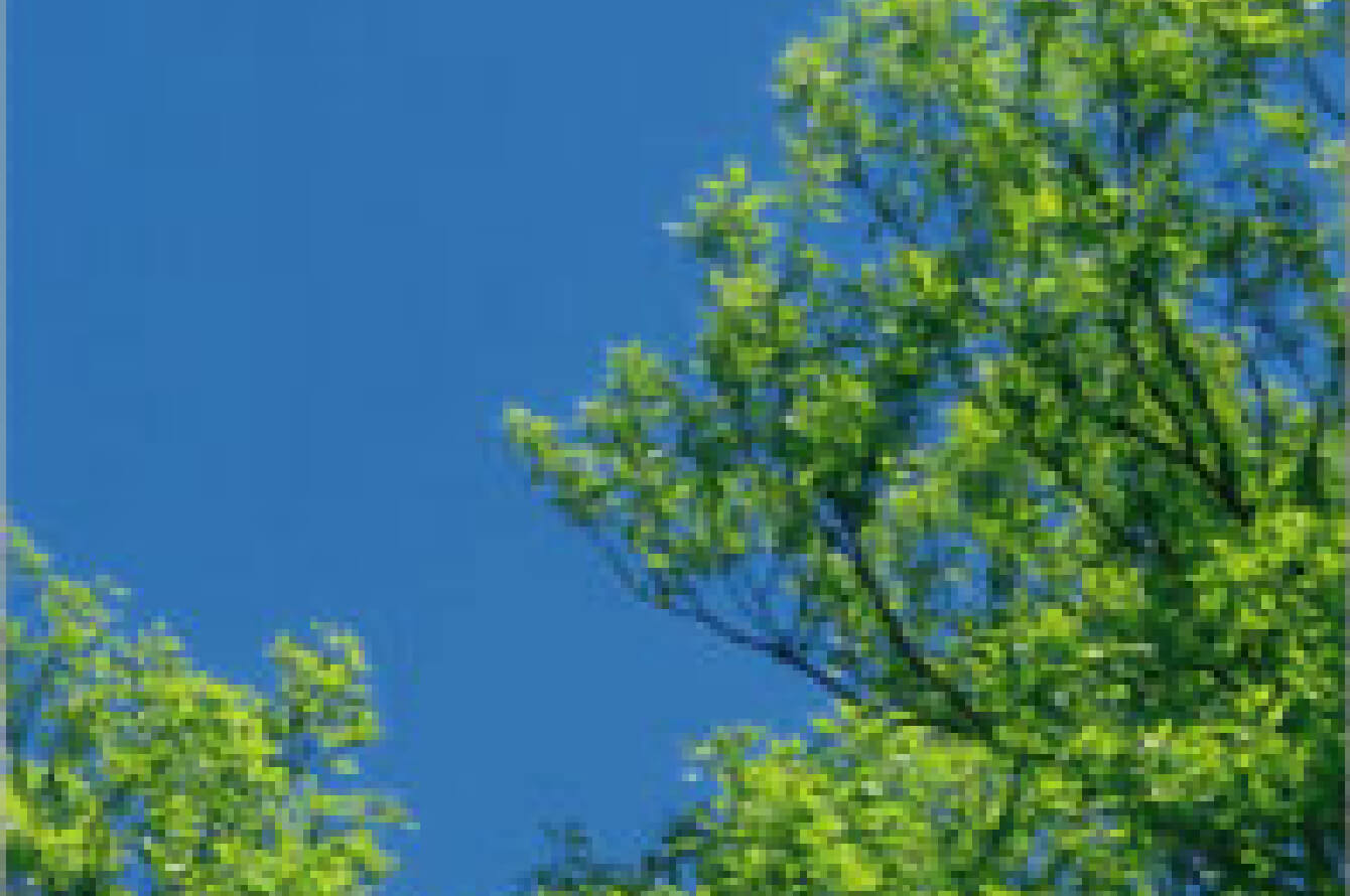 早川なおひで